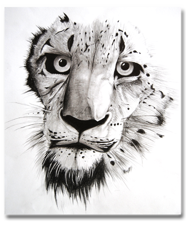 animal